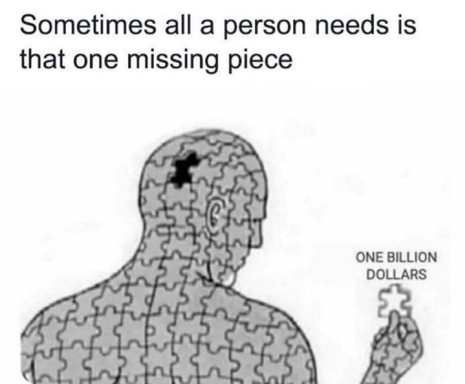 Sometimes all a person need is that one missing piece - a billion dollars